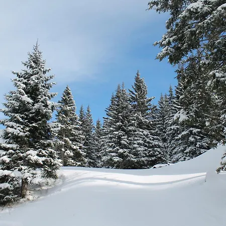 Koralpe Alpenglueck Dağ evi