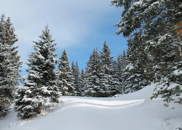 Koralpe Alpenglueck Domek alpejski